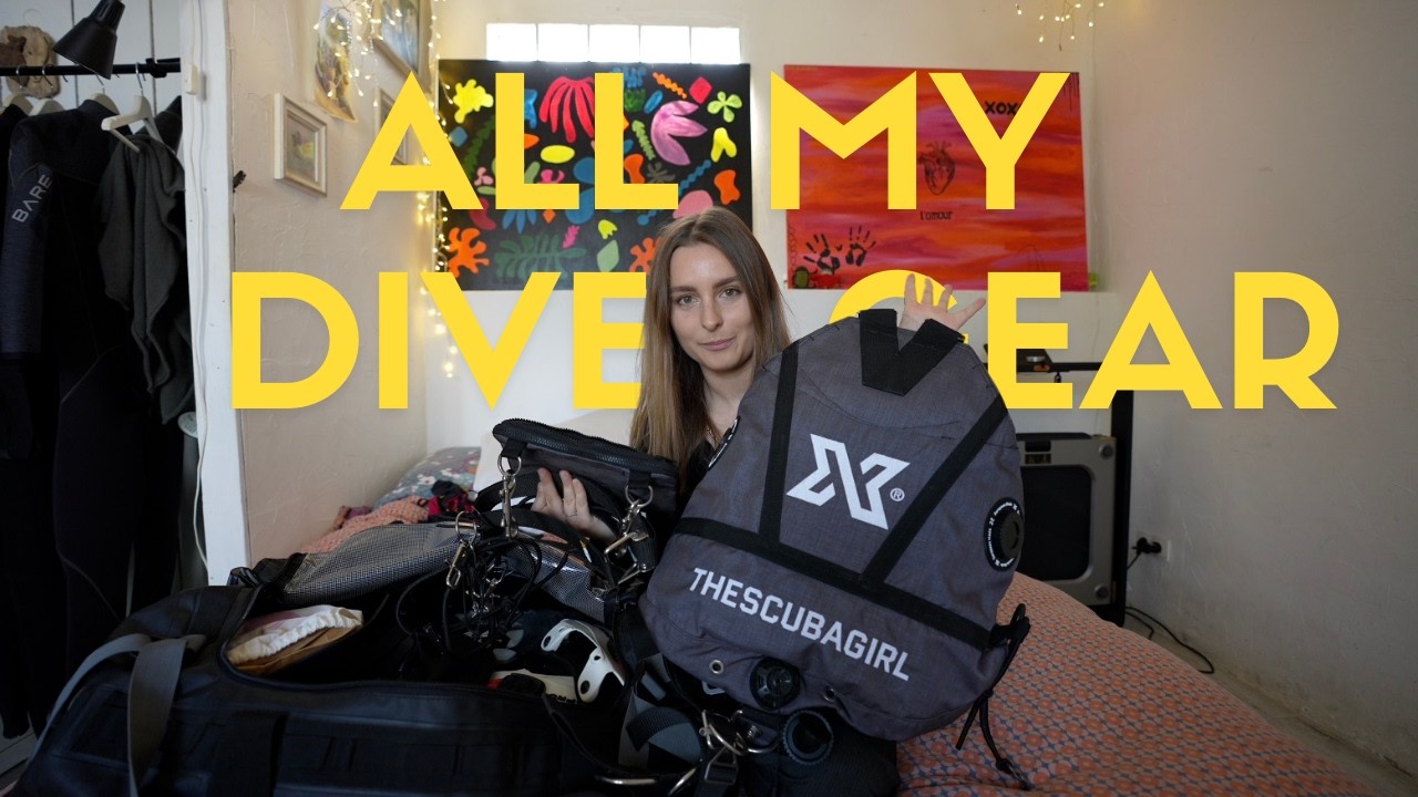 Every Brand I Dive With | XDEEP, Apeks, Scubapro & More