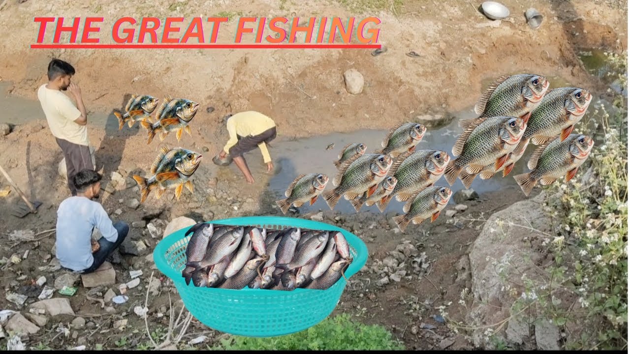     नदी में कतरा मछली पकड़ीं  fishing in the river how catch fishing