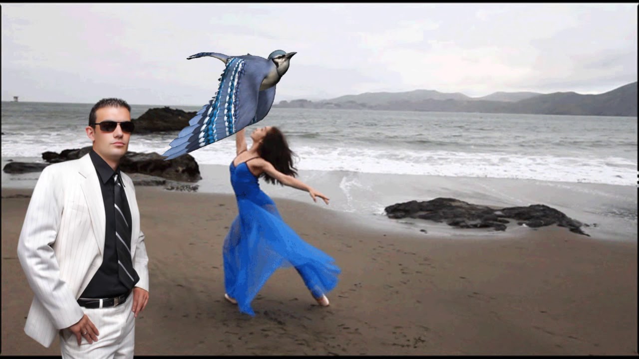 Szulák Andrea   Szabadon szállok