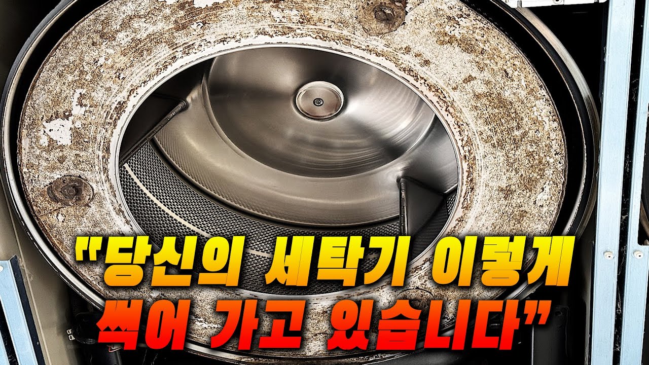 빨래방 대형장비 내부 상태 충격 실태 공개!ㅣ세탁기, 건조기 전문 분해청소ㅣ해브 어 클린