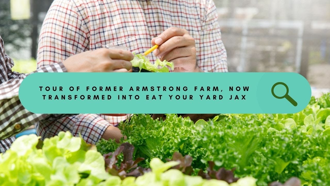 🌱 Explore the Evolution: Tour Former Armstrong Farms Now Transformed into Eat Your Yard Jax! 🌿🌳