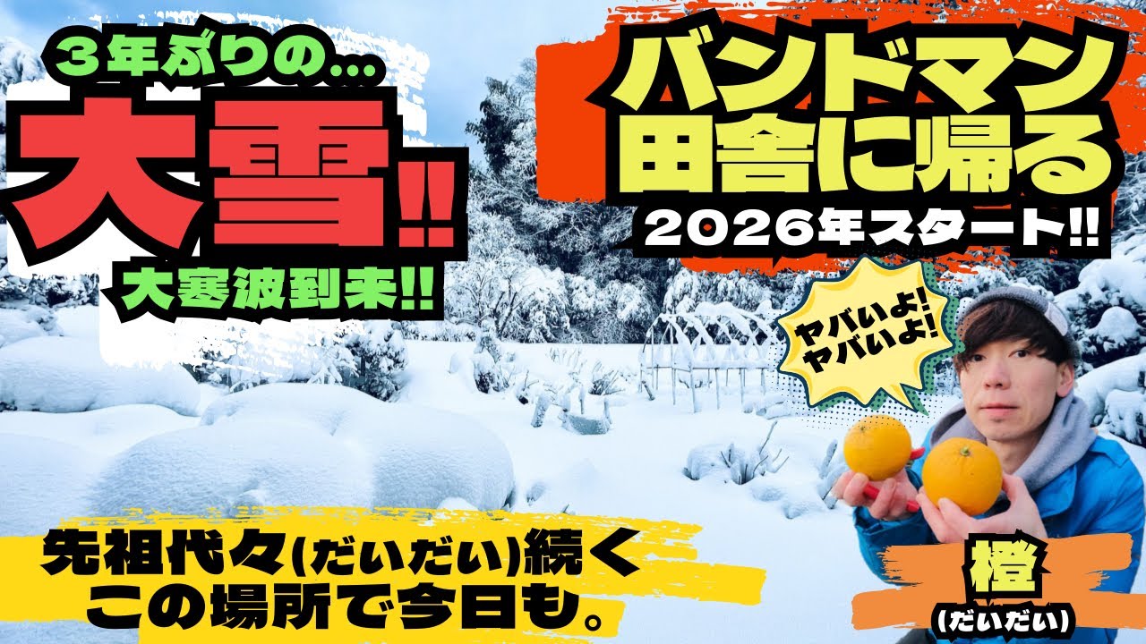 ３年ぶりの大雪‼︎大寒波がやってきた!!~先祖代々(だいだい)続く、橙(だいだい)狩り~