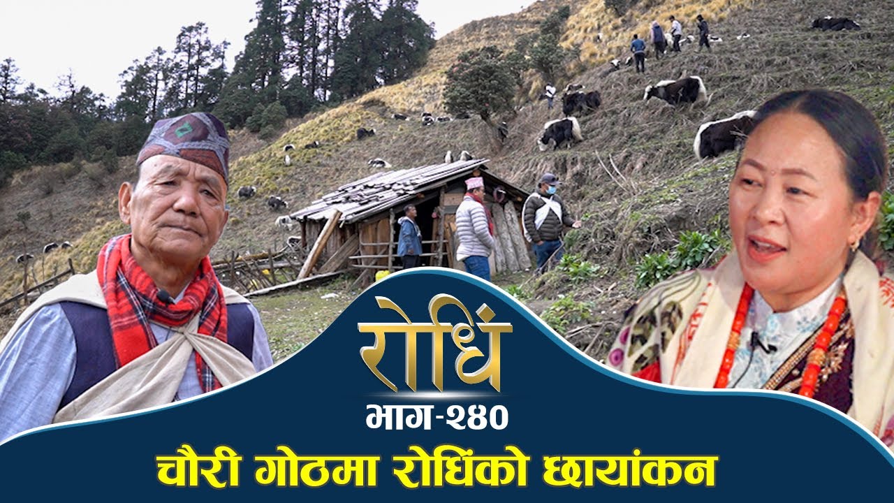 Rodhi EP 240 | बन विर गुरुङ को  चौरी गोठमा रोधिंको छायांकन