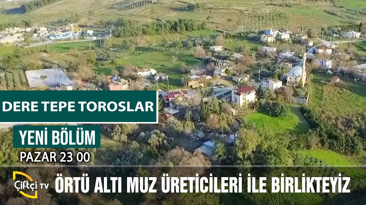Örtü Altı Muz Üretimi - DERE TEPE TOROSLAR #tarım #hayvancılık #çitfçi