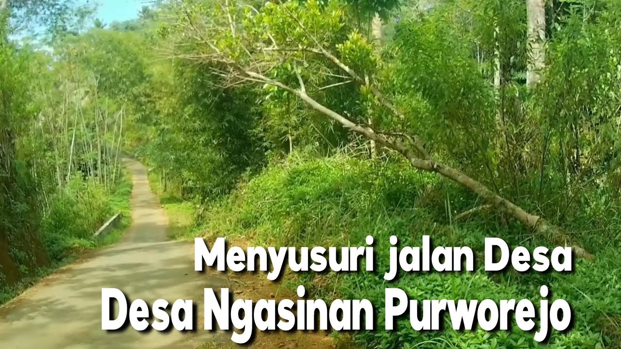 MENYUSURI JALAN DESA | JALAN DI DESA