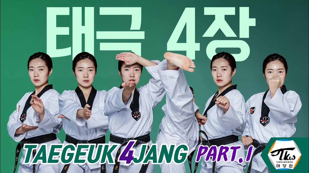 태극4장 새로운기술 핵심 요약!!(손날거들어막기, 손끝찌르기, 제비품안치기, 옆차기, 몸통바깥막기, 등주먹앞치기)