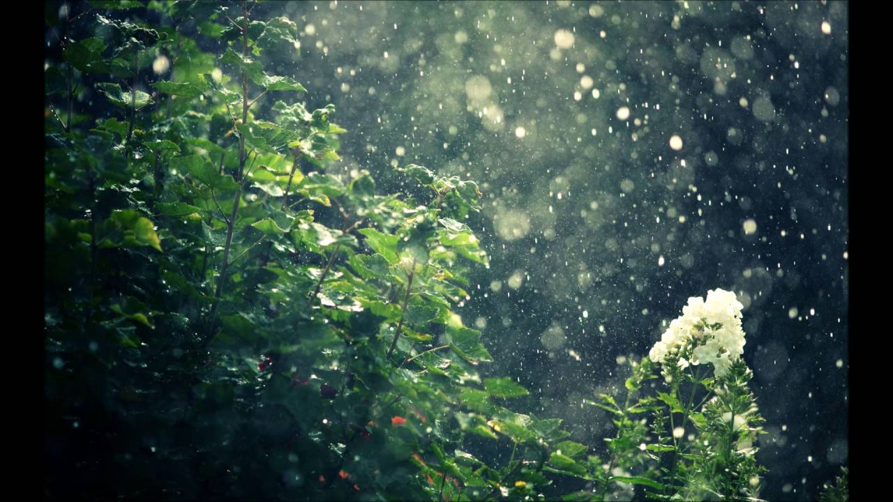 Chargaux   rainy Lullaby