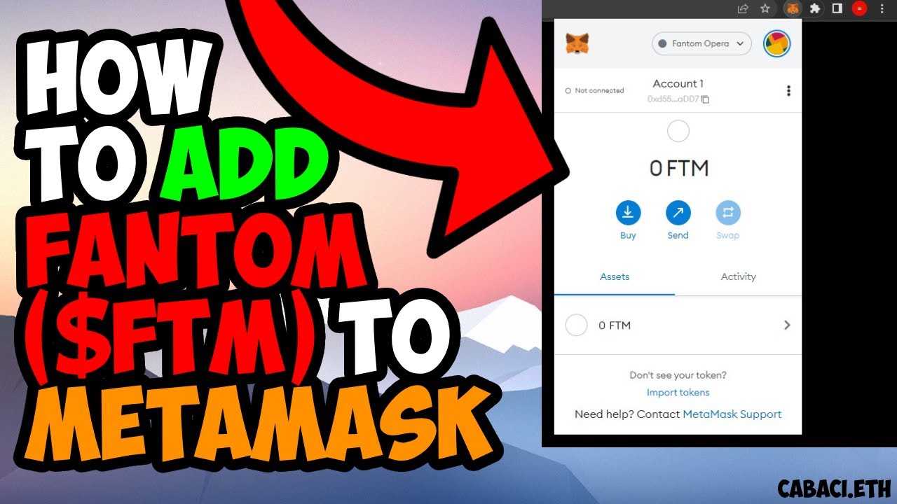 How to Add the Fantom Network to MetaMask