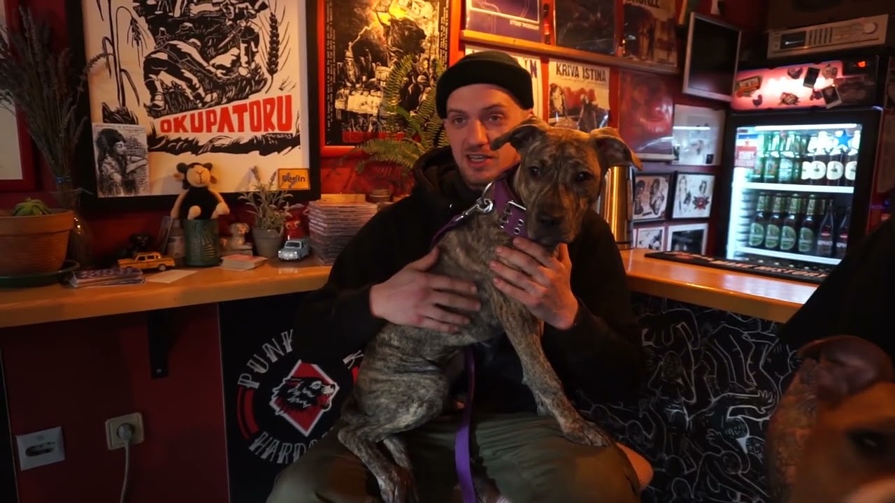Iskustva zadovoljnih udomitelja napuštenih pasa, pet friendly kafić Crni Ovan februar 2022.