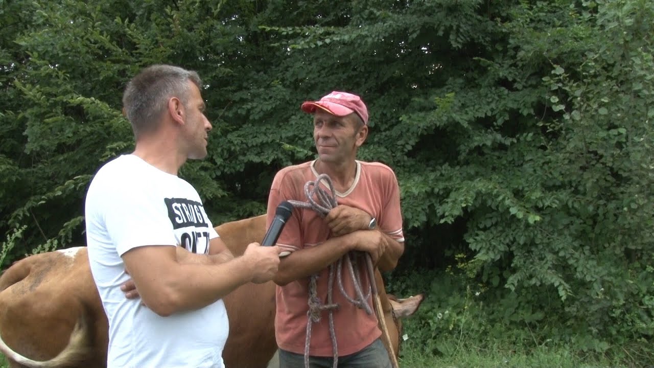 JA BIH SE  I ŽENIO ALI NEĆE NIKO POLJOPRIVREDE