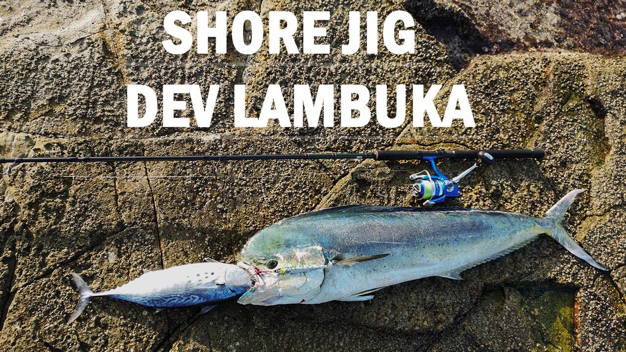 Shore jiging aksiyon dolu trofe dev lambuka  / Biggest  Dolphin fish / Biggest mahi mahi