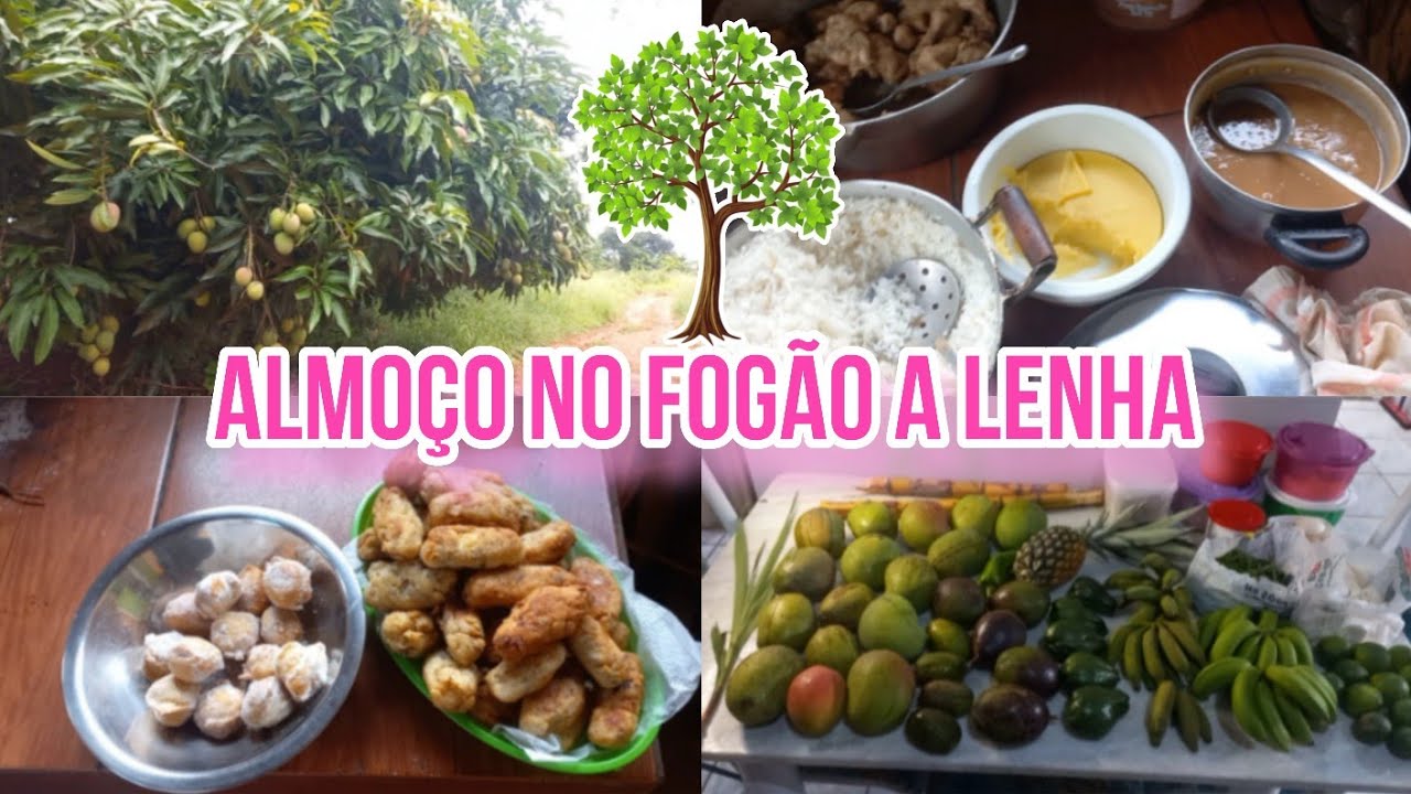 VOU DEIXAR A CIDADE PARA MORAR NA ROÇA | ALMOÇO NO FOGÃO A LENHA