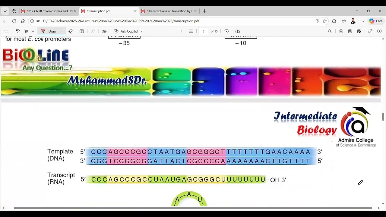 Gene Expression – RNA processing, Splicing of RNA, Genetic Code