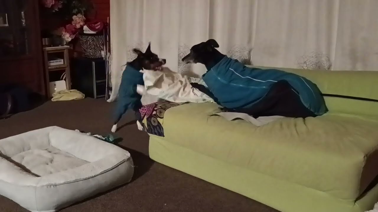 The after bath steam | C'est l'amour | Sisterhood