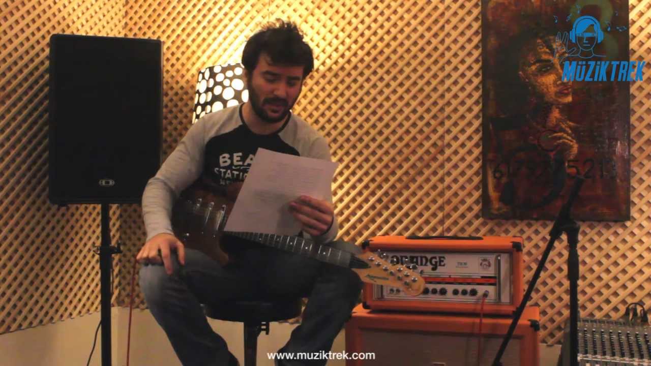 Langcaster Swamp Kauri Strat Test