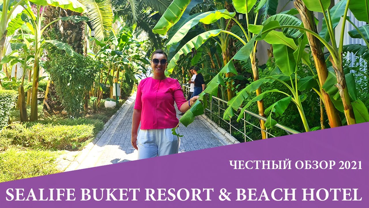 SEALIFE BUKET RESORT & BEACH HOTEL , 5* Аланья, бюджетный отель без единого негативного отзыва