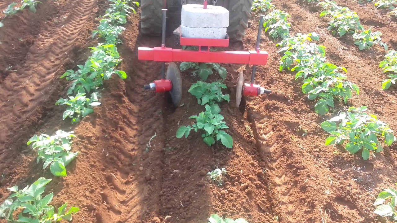 Rincalzatore per patate