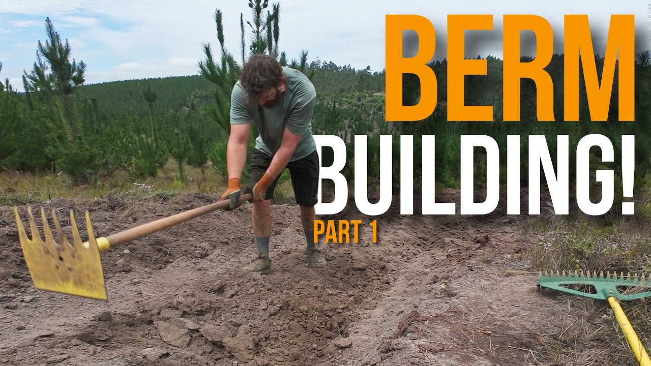 Building a Berm Part 1 | 6 Hours in 10 Minutes!