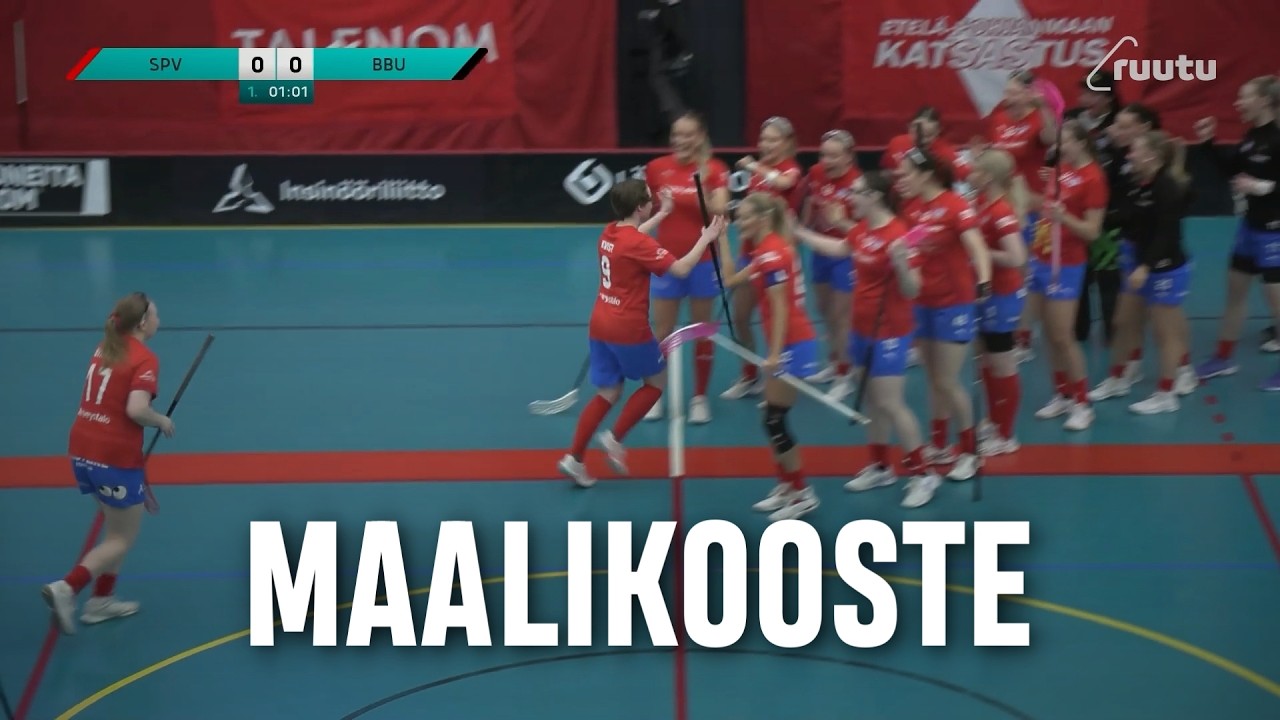 Maalikooste: SPV - Blackbirds (Inssi-Divari N)