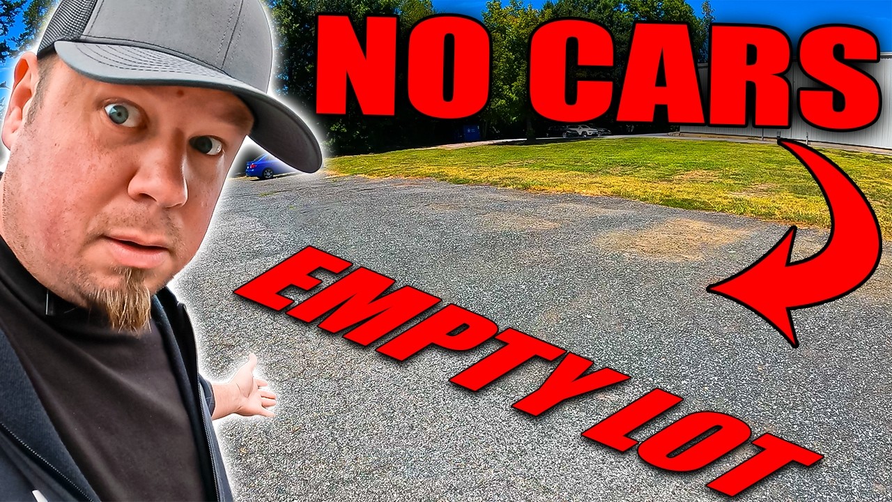 My Car Lot IS EMPTY, So I Bought 30 In A Week (Here's What I Paid)