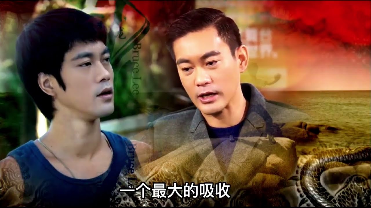 Danny Kwok Kwan Chan演员陈国坤坦言：电视剧《李小龙传奇》是我最大的遗憾  The Legend of Bruce Lee
