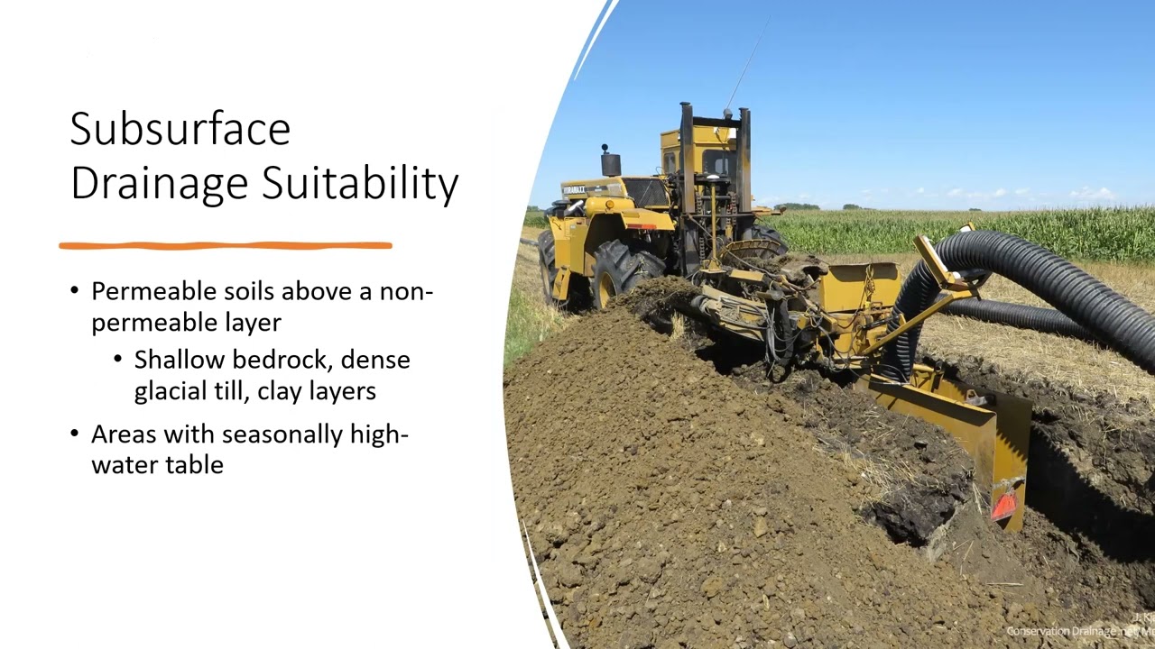 Impacts of Drainage on Crop Production