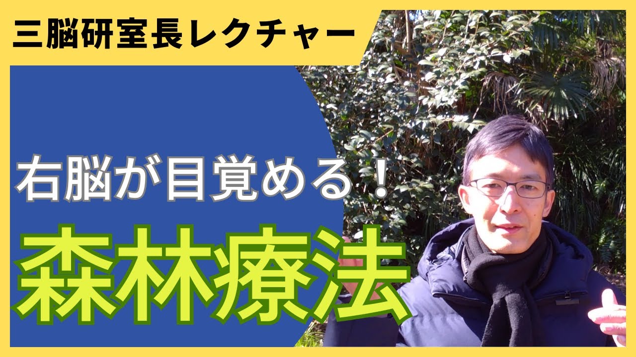 【最速の右脳覚醒法】森の瞑想 詳細レクチャー【森林療法】