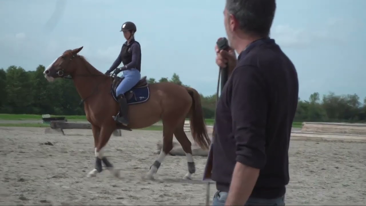 Passage sur tronc monté & passage dans l'eau - L’entrainement du cheval aux obstacles naturels