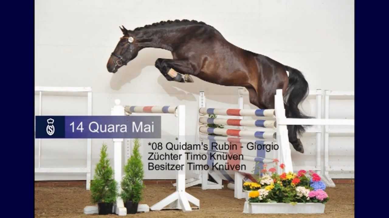 OS Stuten Rastede 2012