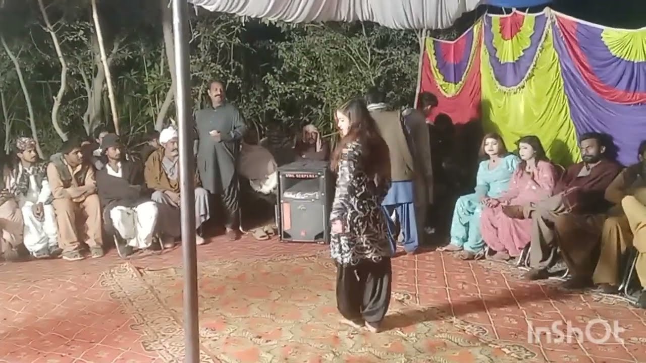Punjab Saraiki Song 2025 Aadi  Malik Dance performance Shas 