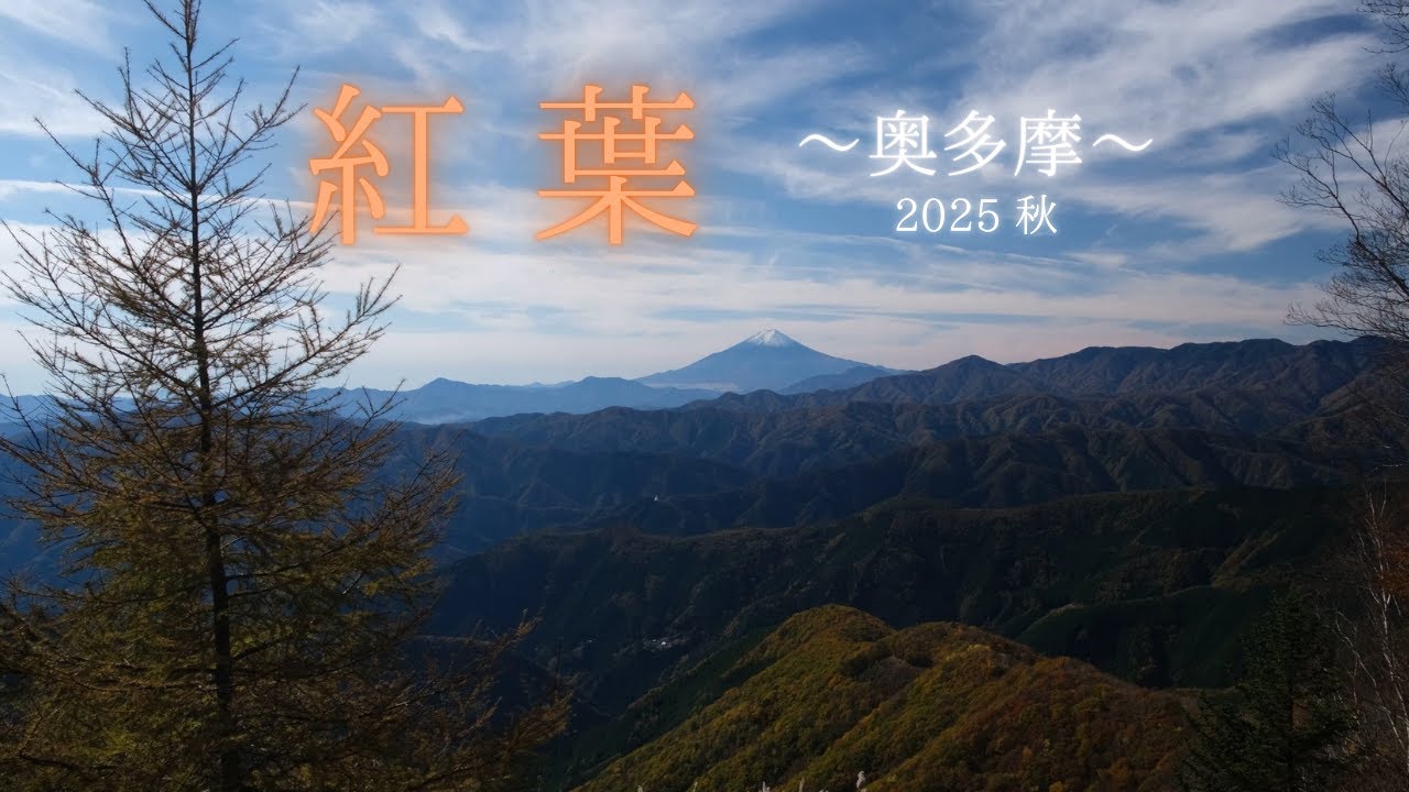 紅葉の奥多摩 〜2025年・秋〜（長尺）