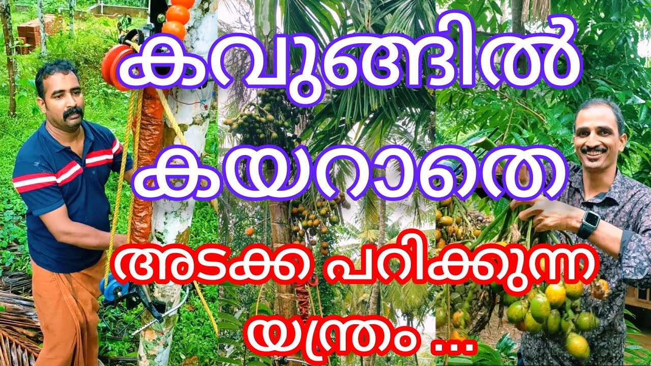 കവുങ്ങിൽ കയറാതേ അടക്ക പറിക്കുന്ന യന്ത്രം  #corfukan