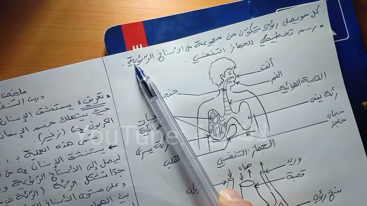 مراجعة فرض أو اختبار علوم طبيعية اولى متوسط درس التنفس الجزء الاول مع الأستاذ سلمان