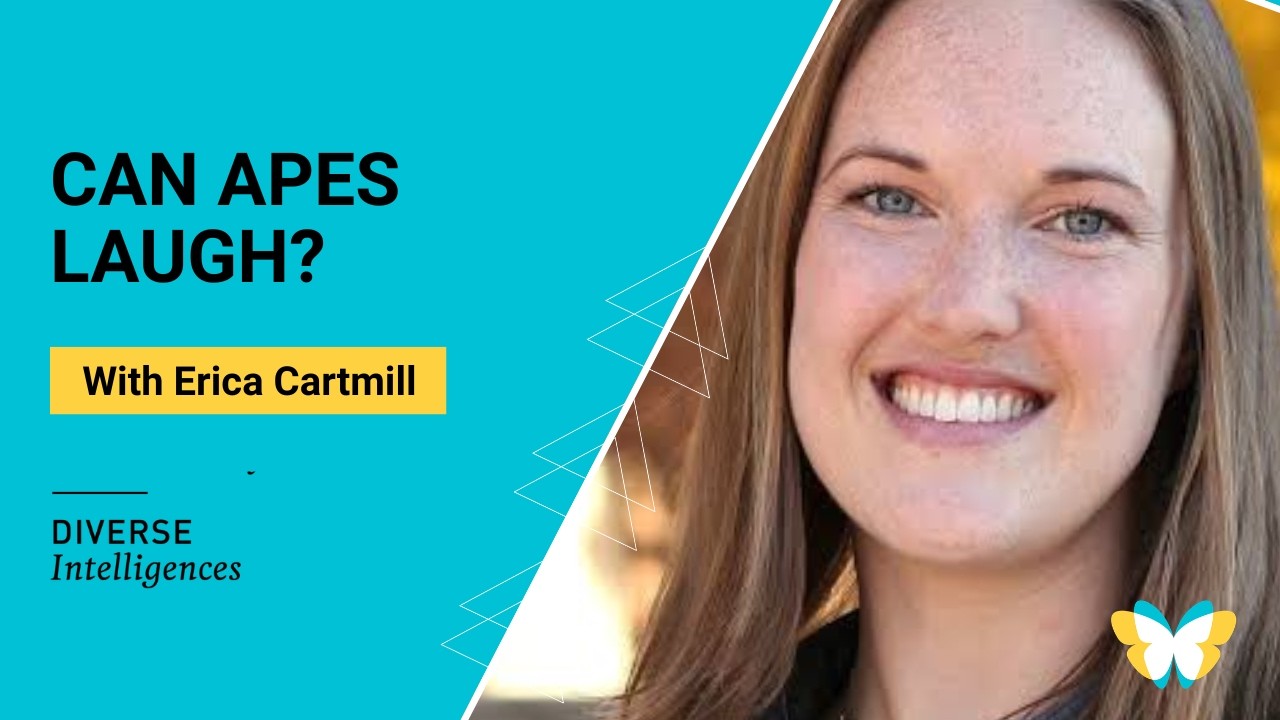 Can Apes Laugh? | Erica Cartmill | Diverse Intelligences