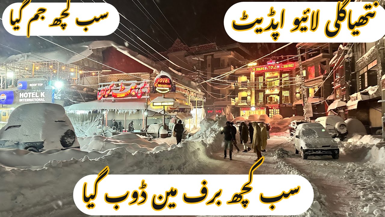Nathia Gali Baraf Bari Live update / Everything Is Freeze 🥶 