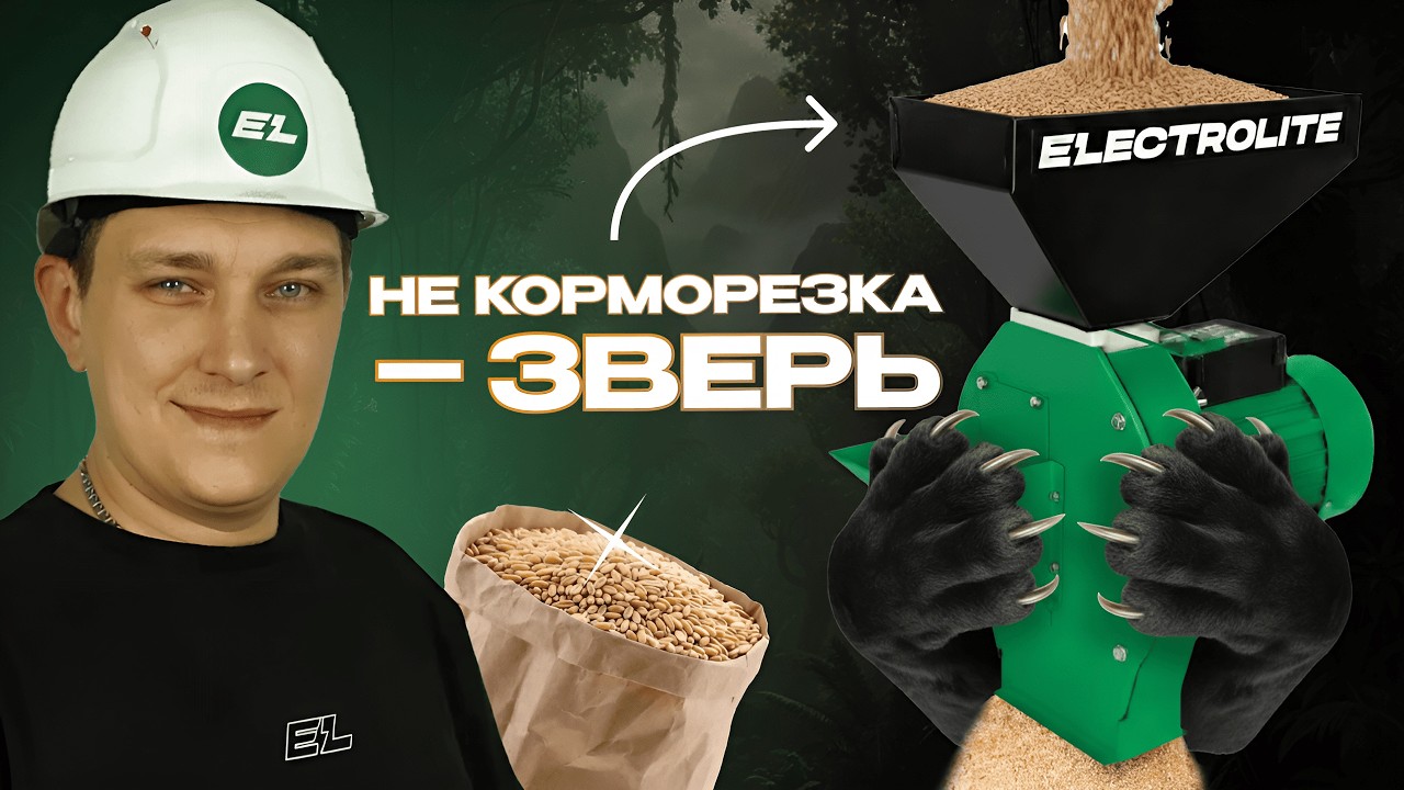 🌽Хотите забыть про покупные корма и готовить всё сами? ⚠️Главная ошибка 90% владельцев!