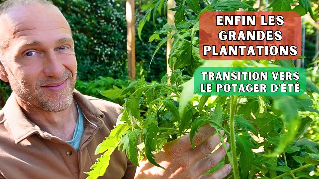 Plantation du potager d'été - Tomates & compagnie !