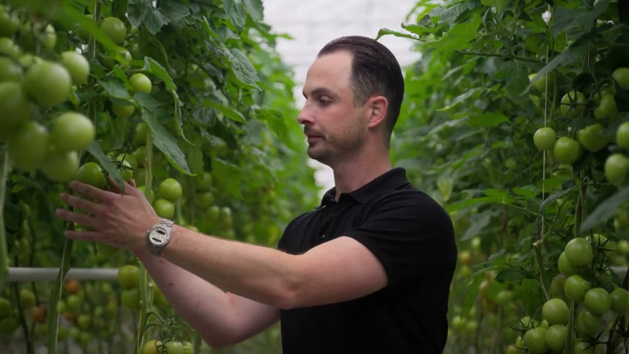 From Roots to Data: The Breugem Horticulture Story