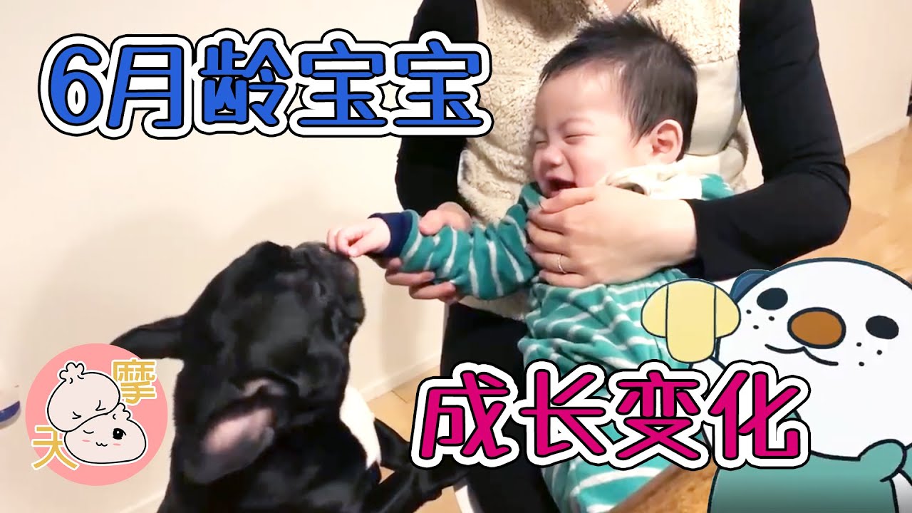 6个月宝宝成长变化