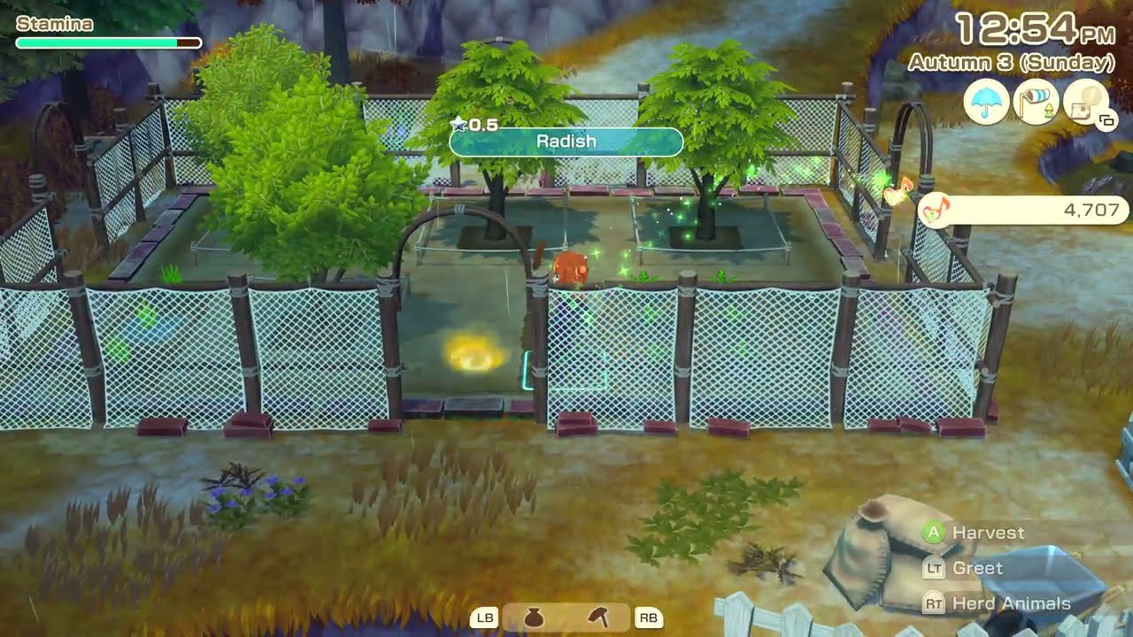 STORY OF SEASONS Grand Bazaar27