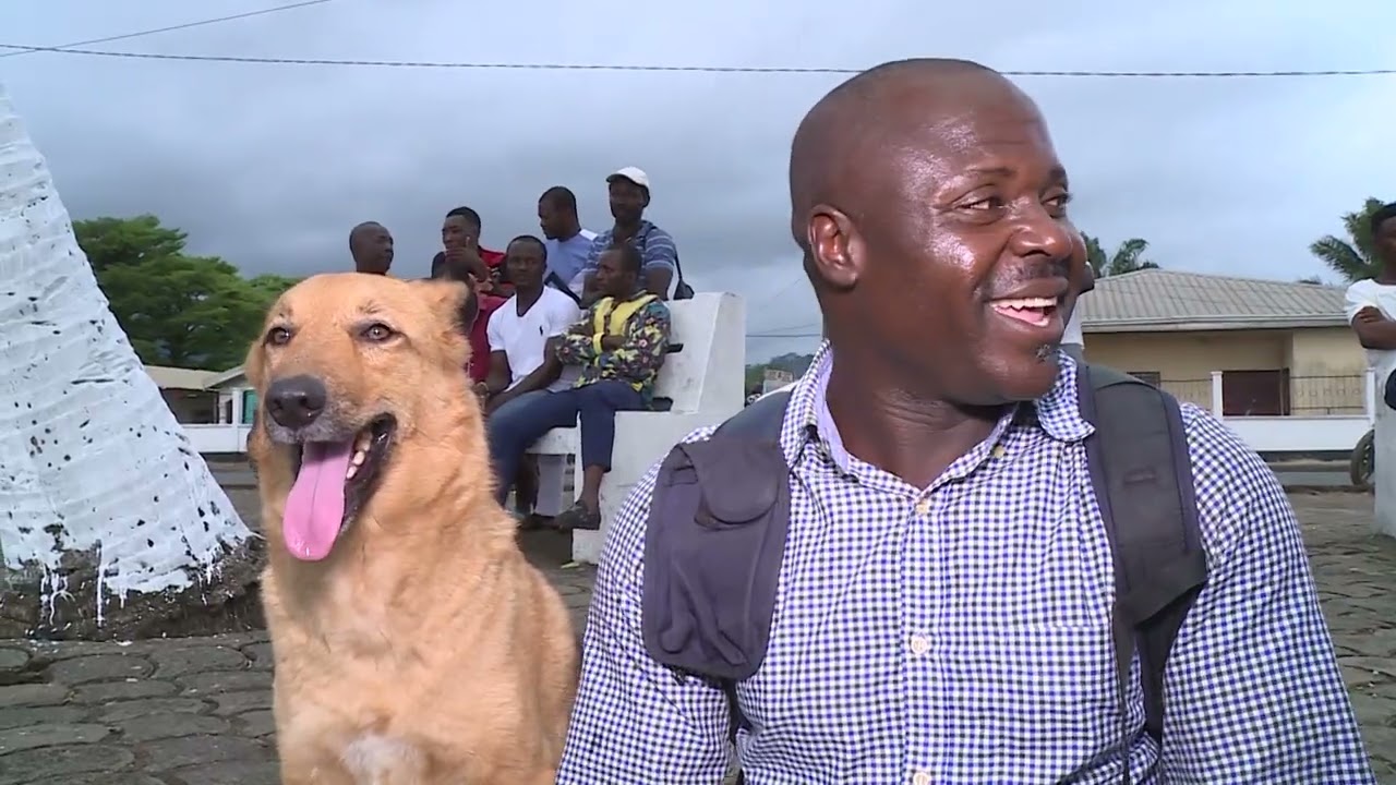 The Limbe Dog Show