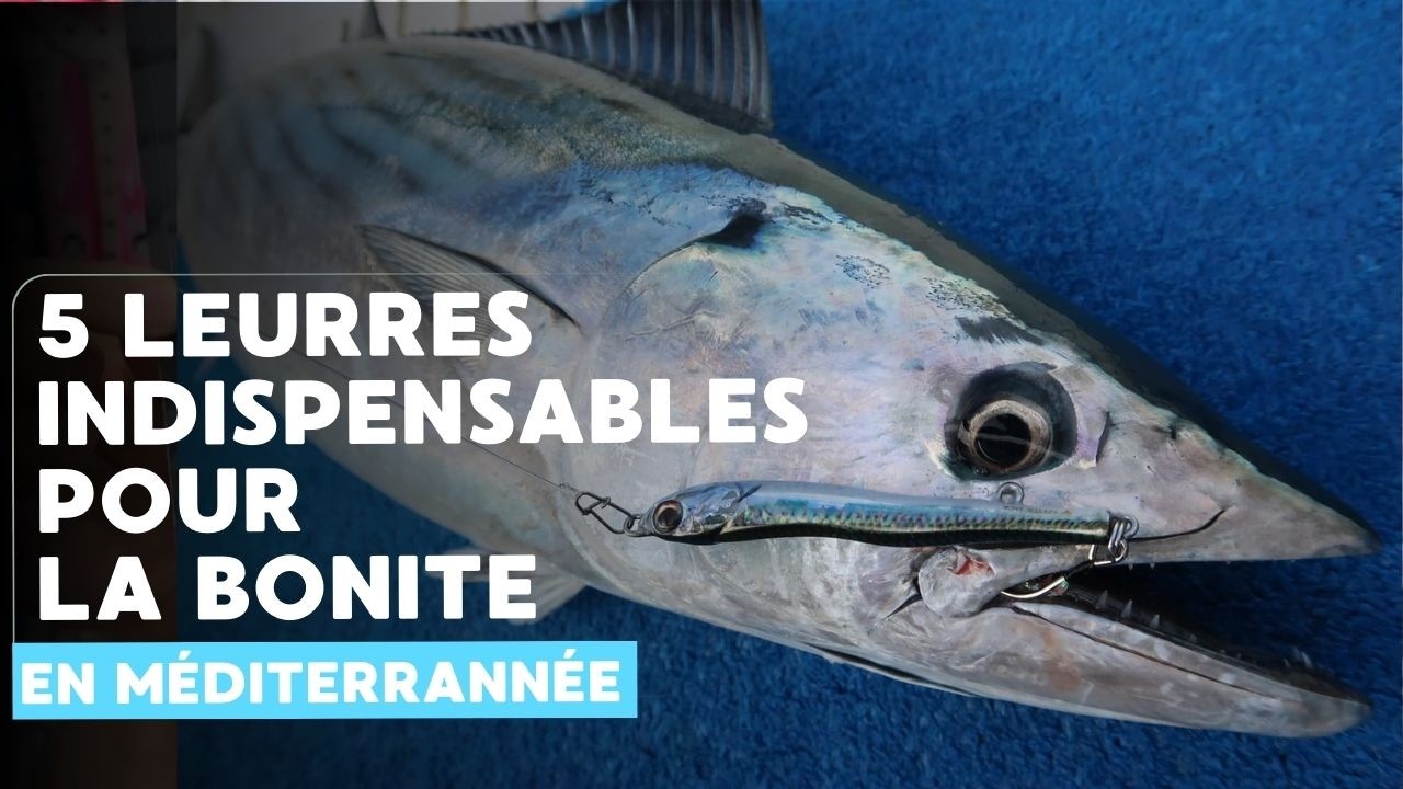5 leurres indispensables pour la bonite