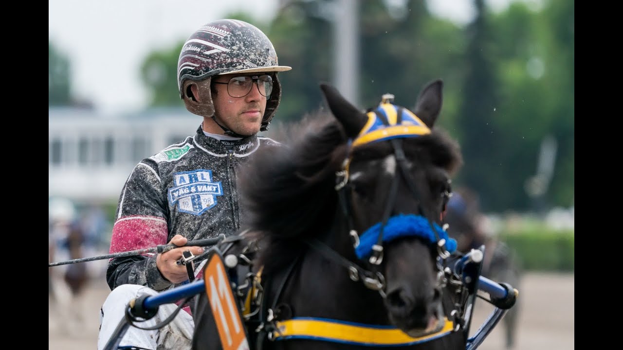 Minitraber-Rennen mit Profis im Derby-Meeting 2022 auf der rennbahn berlin! Trabrennbahn Mariendorf