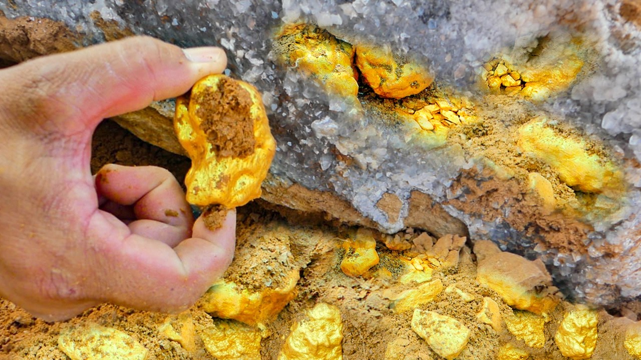 Digging for Huge Gold Nuggets at Mountain worth Expensive