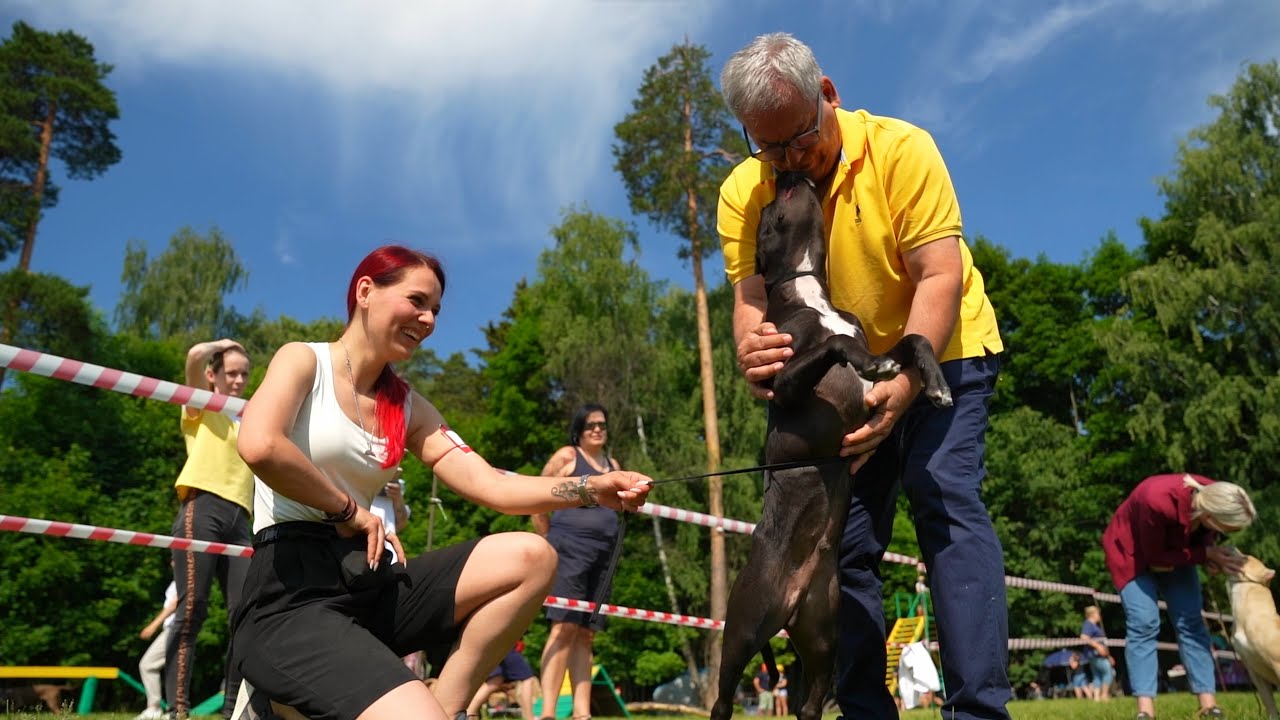Dog show 