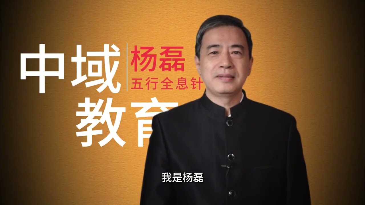 《看见中医》杨氏全息针 杨磊