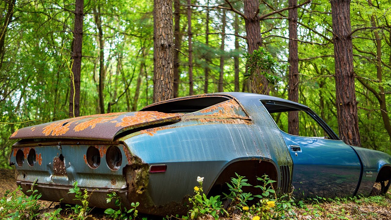 Forgotten American Muscle Cars Worth Millions Found Rusting Away!