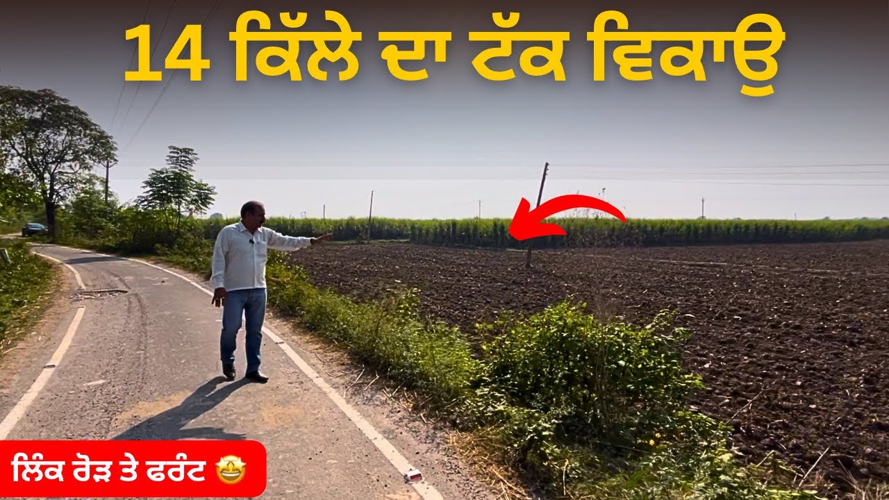 ਹੁਸ਼ਿਆਰਪੁਰ, ਦਸੂਹਾ ਨੇੜੇ 14 ਕਿੱਲੇ ਵਿਕਾਉ 🤩 land for sale in Punjab