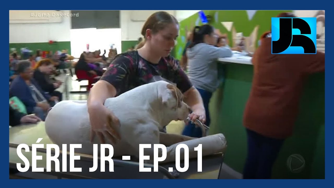 PS Animal: emergência de hospitais veterinários municipais se assemelha à de um pronto-socorro