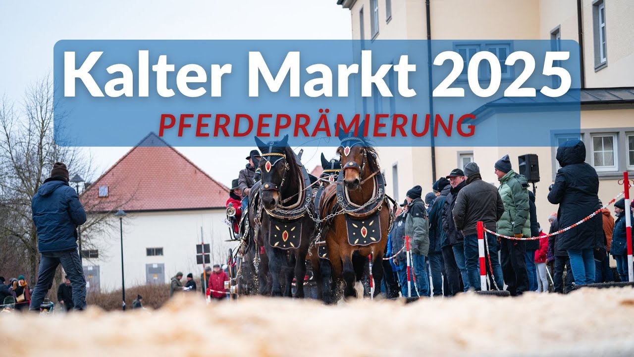 Pferdeprämierung | Kalter Markt Ellwangen 2025